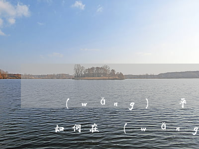 網(wǎng)貸平臺(tái)怎么還款，如何在網(wǎng)貸平臺(tái)上進(jìn)行還款？